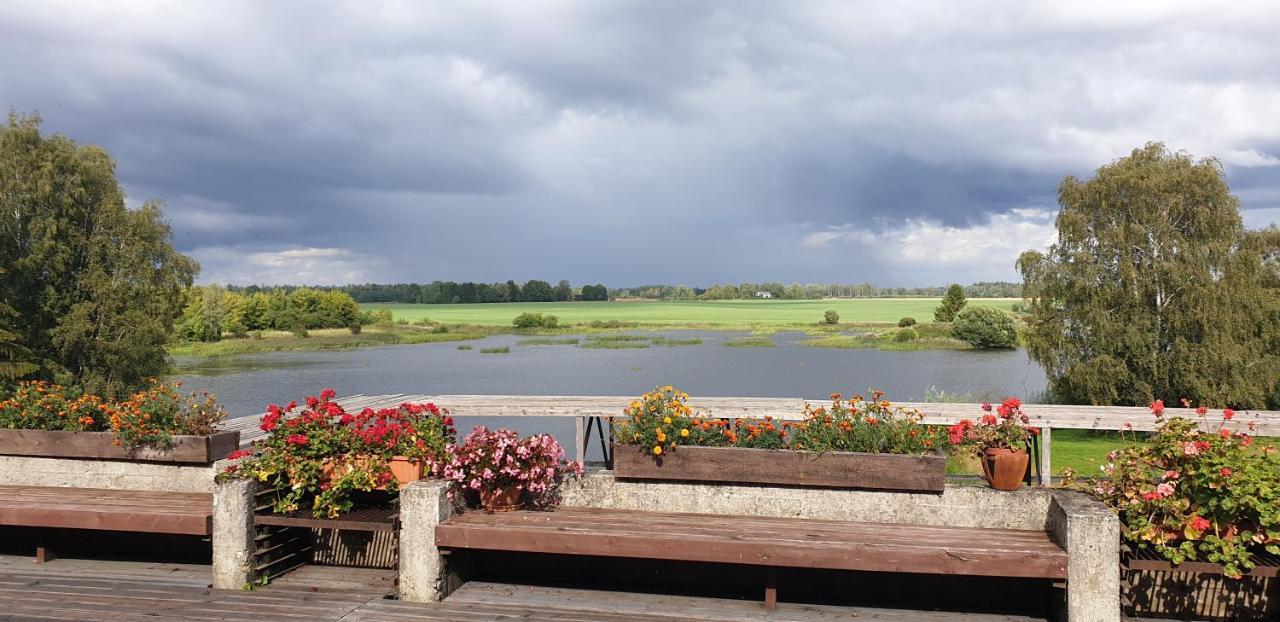 Ilmatsalu Motell エクステリア 写真