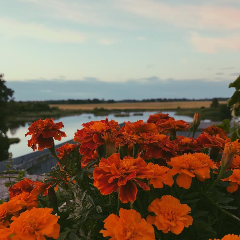 Ilmatsalu Motell エクステリア 写真